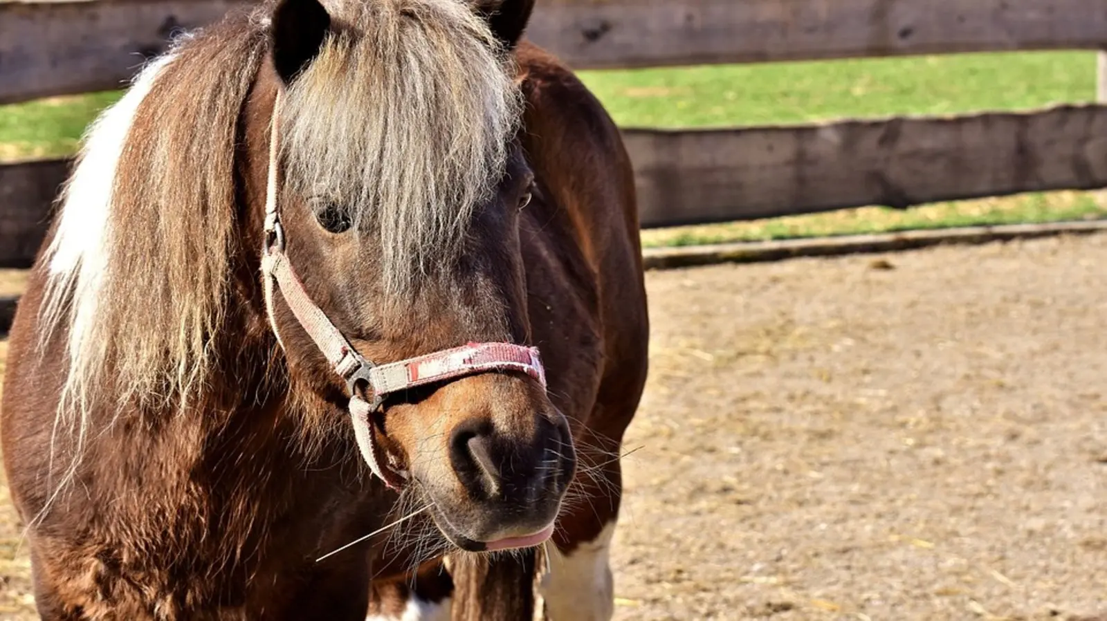 Answer image alt text